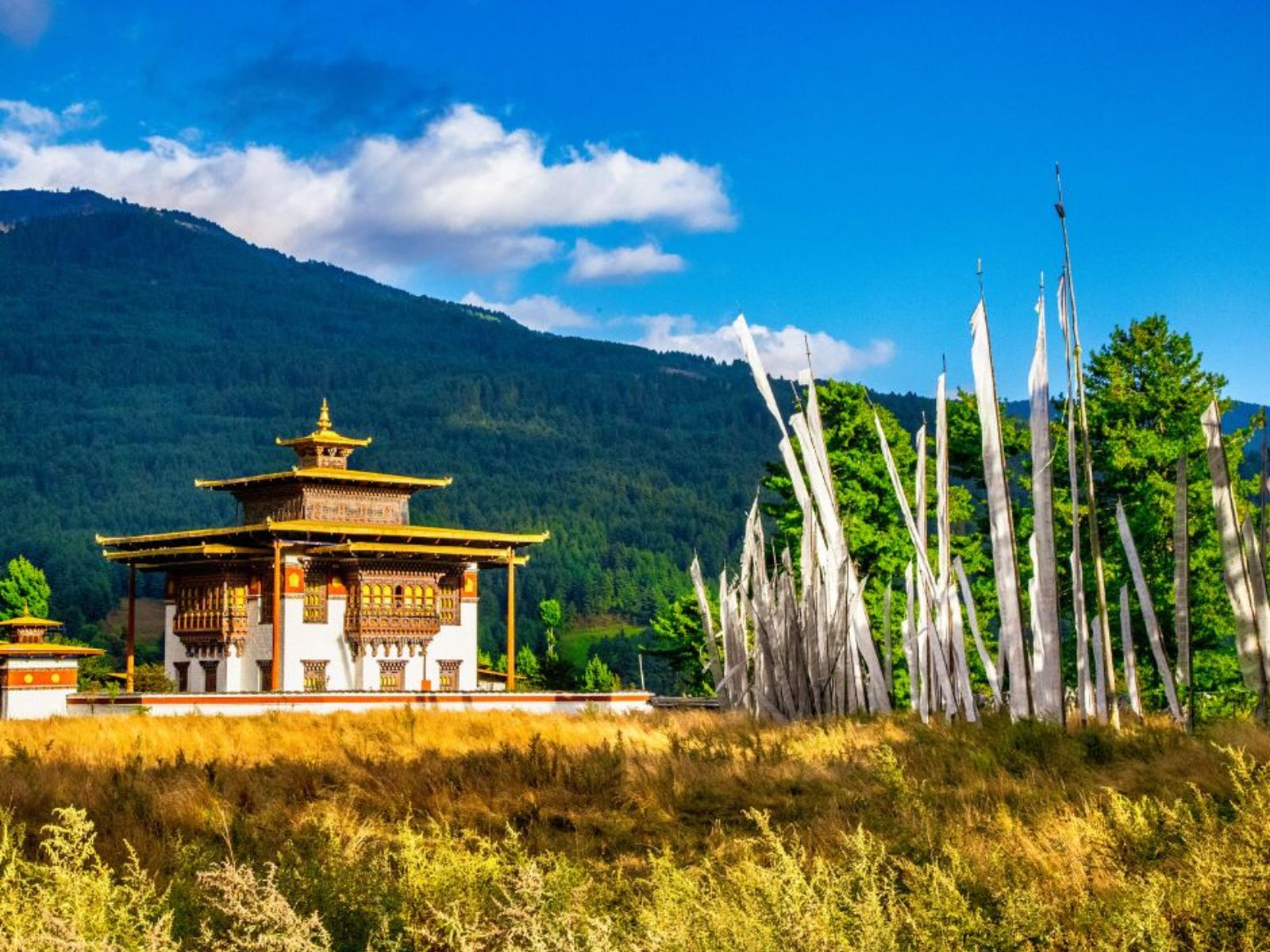 Bhutan Cultural Tour